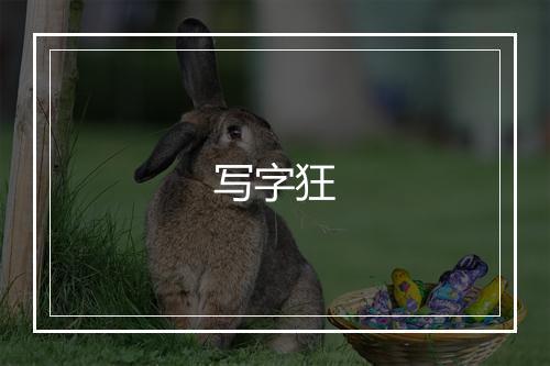 写字狂