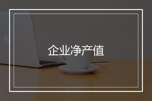 企业净产值