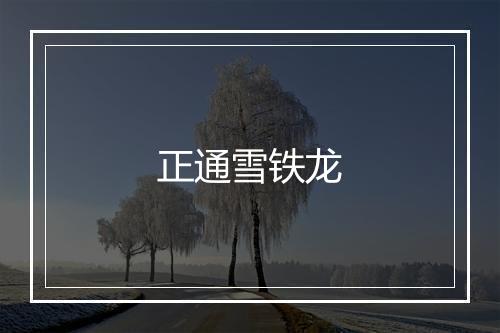 正通雪铁龙