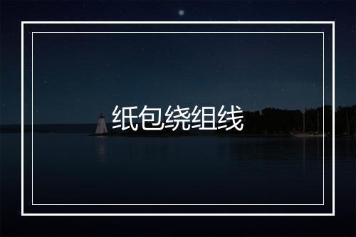 纸包绕组线