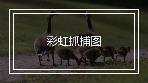 彩虹抓捕图