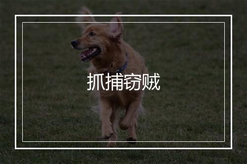 抓捕窃贼