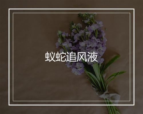 蚁蛇追风液