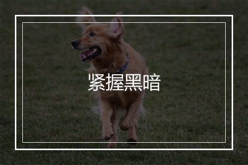 紧握黑暗