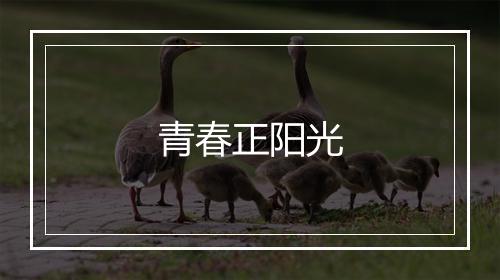 青春正阳光