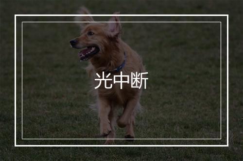 光中断