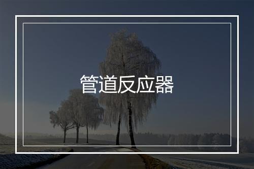 管道反应器