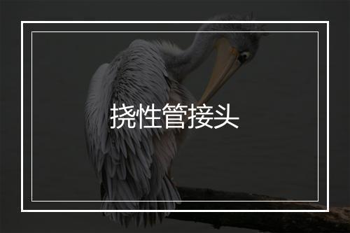 挠性管接头