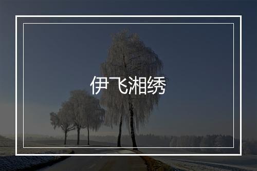 伊飞湘绣