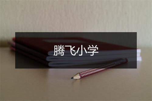 腾飞小学