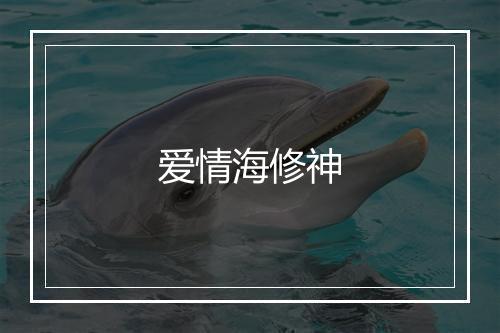 爱情海修神