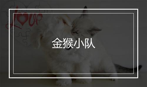 金猴小队