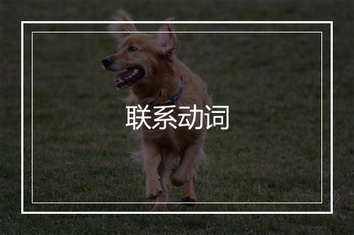 联系动词