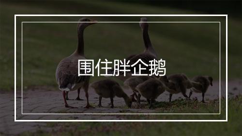 围住胖企鹅