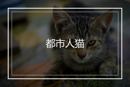 都市人猫