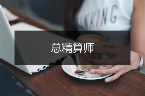 总精算师