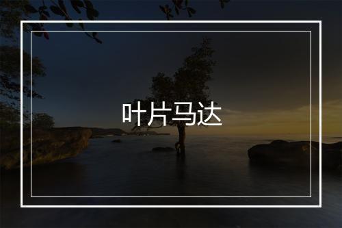 叶片马达