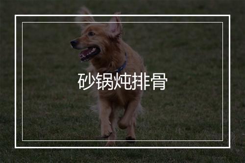 砂锅炖排骨