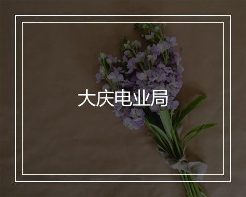 大庆电业局