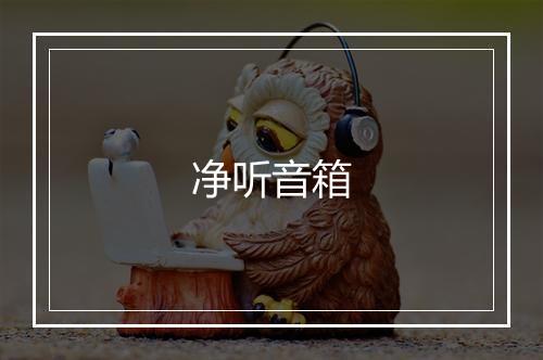 净听音箱