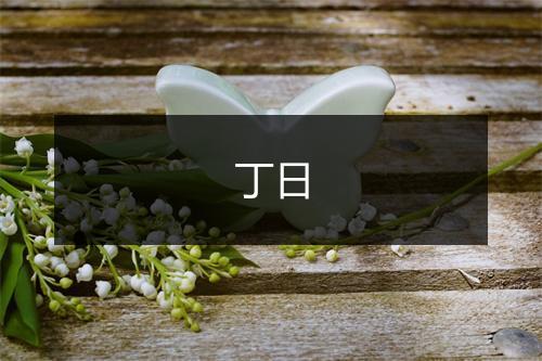 丁日