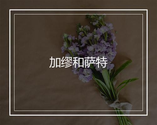 加缪和萨特