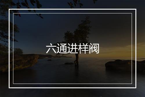 六通进样阀