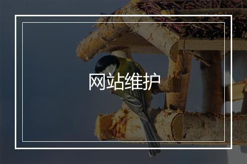 网站维护