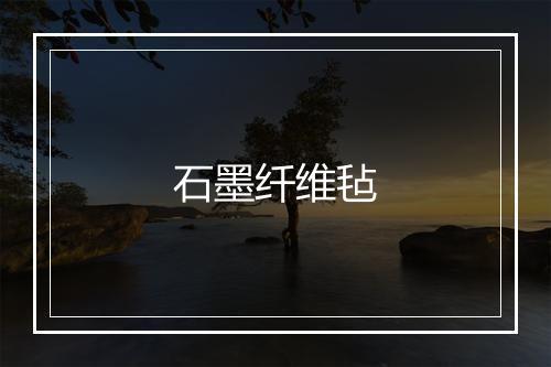 石墨纤维毡