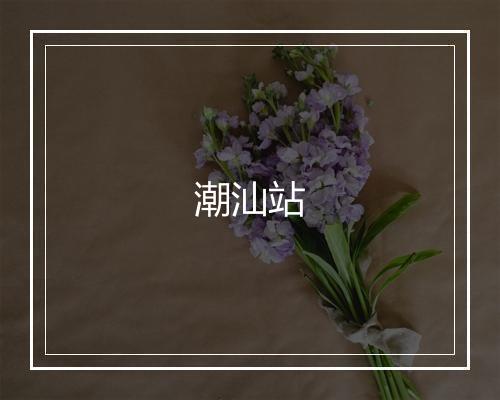 潮汕站