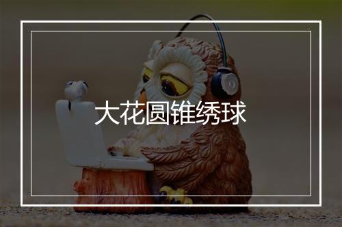 大花圆锥绣球