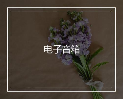 电子音箱