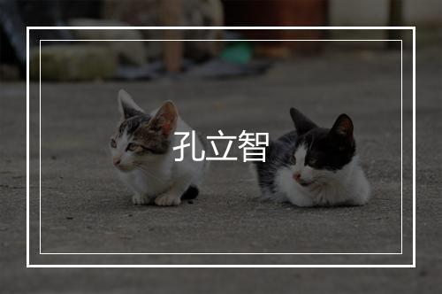 孔立智