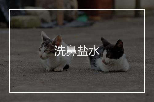 洗鼻盐水