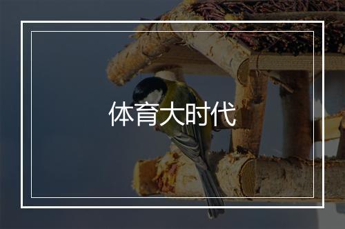 体育大时代