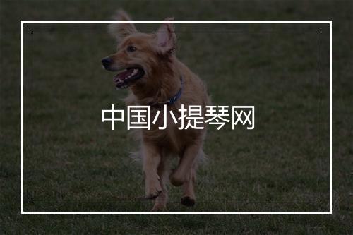 中国小提琴网