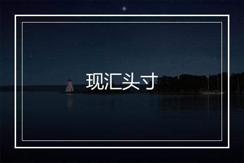 现汇头寸