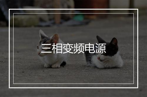 三相变频电源