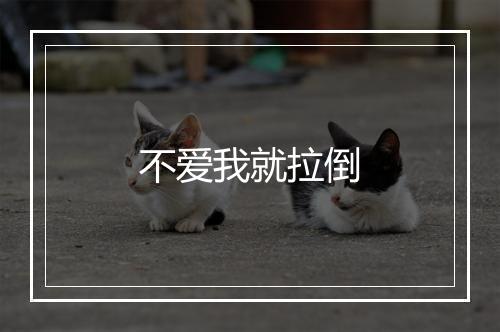 不爱我就拉倒