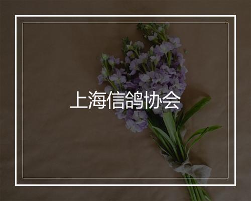 上海信鸽协会