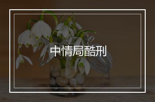 中情局酷刑