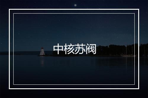 中核苏阀