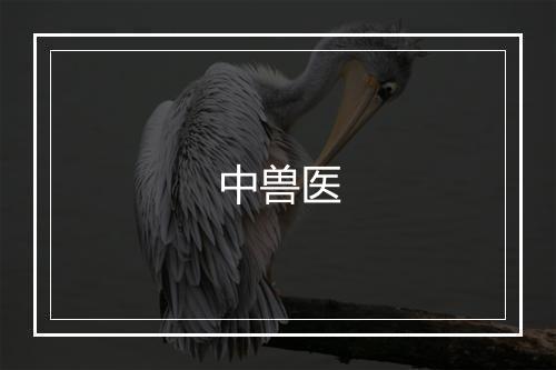 中兽医