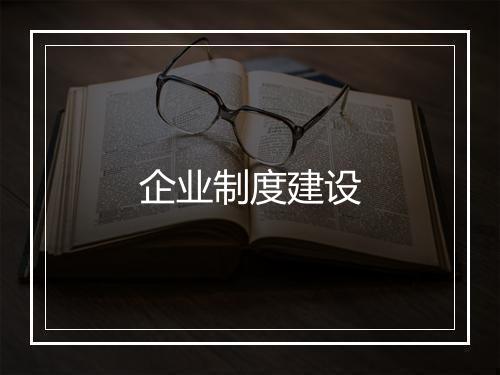 企业制度建设