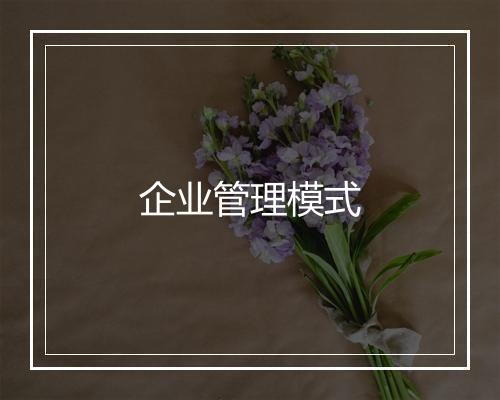 企业管理模式