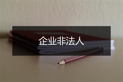 企业非法人