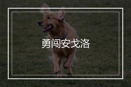 勇闯安戈洛