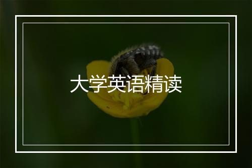 大学英语精读