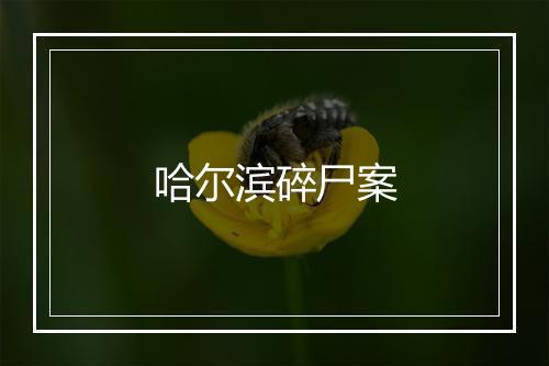 哈尔滨碎尸案