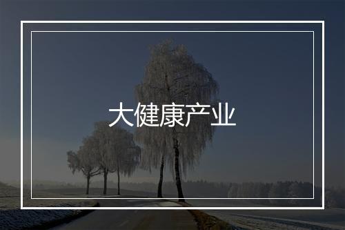 大健康产业